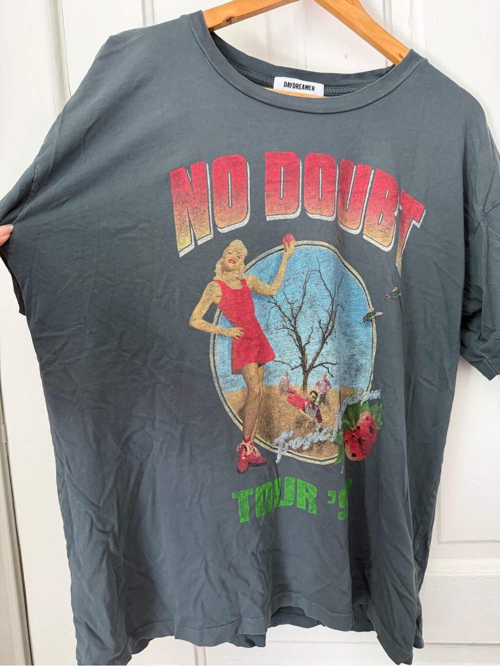 Daydreamer Charcoal Graphic Tee with Red and Green Accents